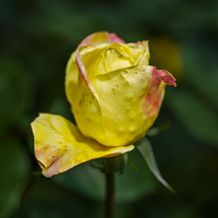 2023���׽캼�����¼���չ��ȥ�ͻ�����ȺҲ����ӵ���˺�