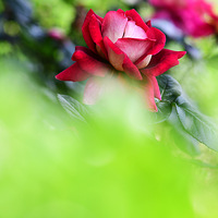 �� �ͻ��¼�