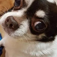 �����ε�����������������ɻ��ˣ�ֱ����������ĵط�...