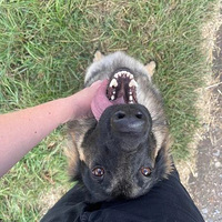 �����������������������������ؼң����...�ҿ���������