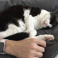 Сè�䵱ʧ�����˵Ķ��䣬ȡ��ֽ�￪�š�èè������������