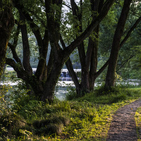 ��é�Ҳ���������