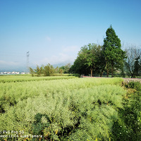 ���µ���Ұ