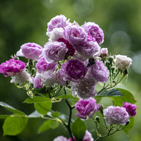 ����ã�Ǿޱ��Ǿޱ����