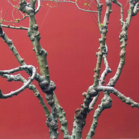 ��ǽ����A