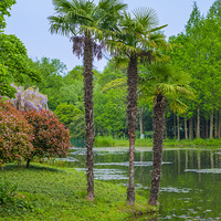 �ٵ��ĺ��ݻ��Ե����ٻ�