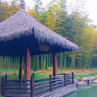 ��������ַ