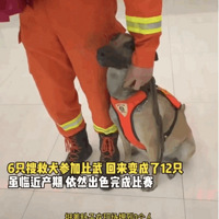 ��Ȯȥ�μӱ���ȴ͵͵̸����������6���޾����˵�һ���������ˣ�