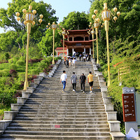 �θ�������������ɽ