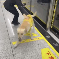 ��ֻİ������ͬһ����ҳ��ߣ����ȥ����ͨ��žžž���ڶ��쾹Ȼ