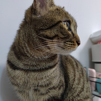 �Ҽҵ�è��ɾ���