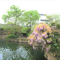 ����̽����ϪԷ��3��