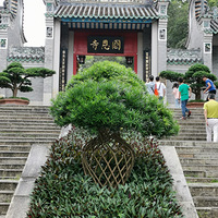 �㶫���˹�����