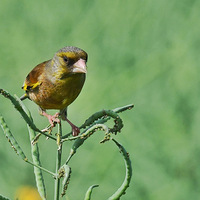 �Ͳ����ϵĽ��ȸ