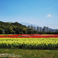 ������ǧ�ס��ײ���԰��������