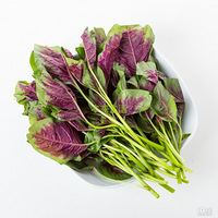 ��һ���Σ����������������������������ˬ���������ϰ���Ŷ��