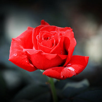 �����¼�