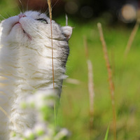 �����濩��