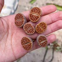 ����ֲ������ж�죿