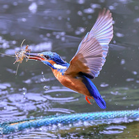 �����̡���Ϻ����