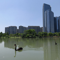 ���ü��ˣ�����졣