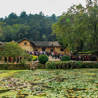 2010���2023�����ɽ������