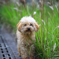 ʮ����ġ�׷׷��