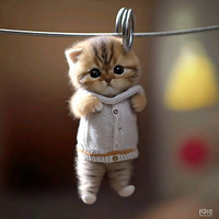 ��һ�ڿ��֣���ͼ��һ��