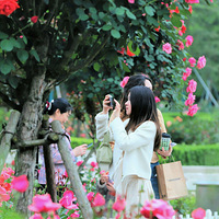 �¼��������������¼���չ���£�