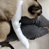 Сèָ�����ˣ�ȴ���ϸ��װ��ɡ����ˡ�������Ц�裺�������˿ڶ�