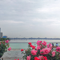 ���ճ�����̨