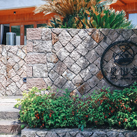 ��һ����������