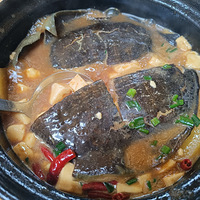 �������ڿ�ѧ��