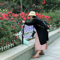 רע���ͻ���