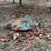 40w���첩��Űè��������Űè�Ż������򾯷���ս��