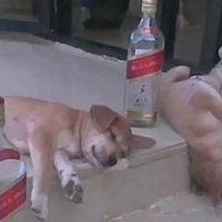 ���Ӳ�ͣ�鴤��������Ϊ�Ⱦ���񫣿ֻ�ñ��Ƚ����...