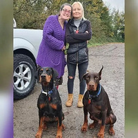 ��Ȯ��������·�˿��ᣬû�뵽...����Ϊ�˾�����һ����