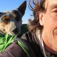 �����ϵİ��١�/.