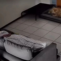 ���������赥�����룬�����þ�ȫ�����������Ͽ�������������