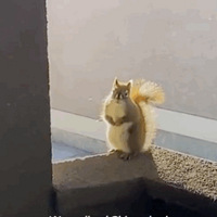 ��ëÿ�춢�ź��ſ�������֪��ԭ���...̫ů�ˣ�