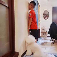 ����С���˷�վ��������������������ͦ��������