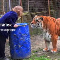 ����Ա����������èָ�ϡ����ѣ�ѧ���ˣ���è�����죿��