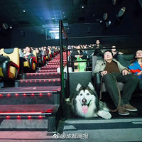 ����������ͼ��˺��ᣬ����ÿ��ɨĹ����Ϊ������ʳ����һֱ����