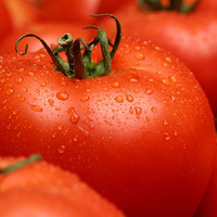 �������������ԡ�������ʣ�������ԡ���