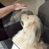 ������ȥҽԺ��飬�����ȷ����ϡ���ȫ����Ц������ӹҽ��