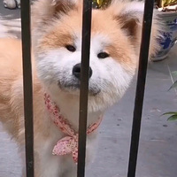 �߶��Ĺ������������Ӻ������ѿ���껭������ҵ������ˣ�