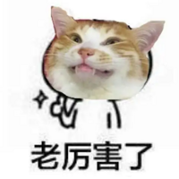 ���Ⱳ��������è�ˣ�������˵�ţ���ȥ������è���˶ټӲ͡�