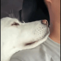 ���˽�黯ױ���ѹ����ŵ�ɪɪ�������ҿ��������ɻ�����ʶ������