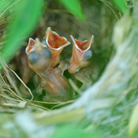 ��ͷ�̱��������ˡ�