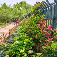 �Ƕ���԰һ��ƬǾޱ��ʢ��  2023.05.08